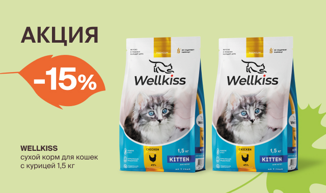 -15% на сухой корм для кошек в Четыре Лапы