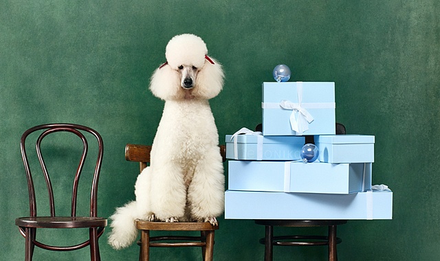 РАСПРОДАЖА EKONIKA — С 18 ДЕКАБРЯ