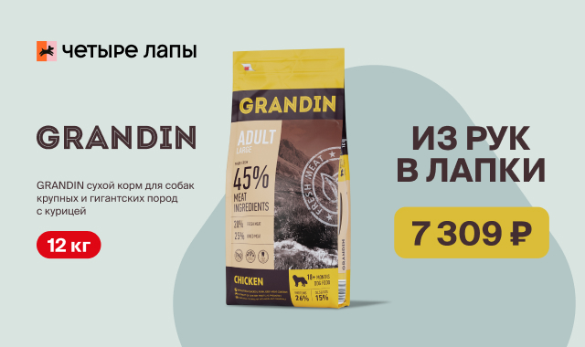 Летняя распродажа корма GRANDIN в Четыре Лапы!