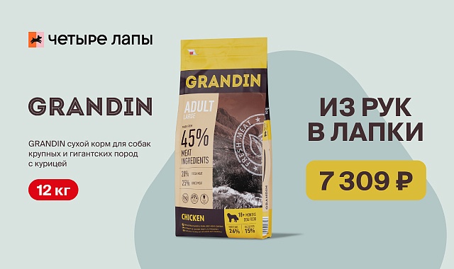 Летняя распродажа корма GRANDIN в Четыре Лапы!